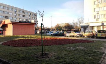 Parki kieszonkowe - oaza wytchnienia pośród murów - 
cieszą oczy, poprawiają humor, wyzwalają kreatywność